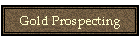 Gold Prospecting